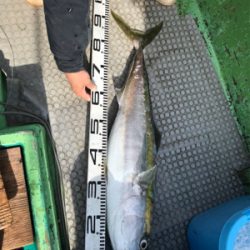 落とし込み 飲ませ