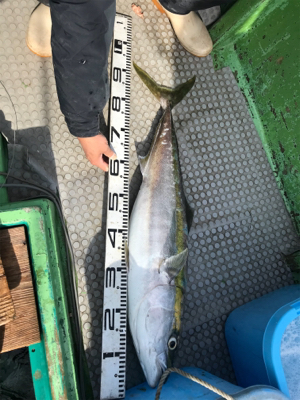 落とし込み 飲ませ