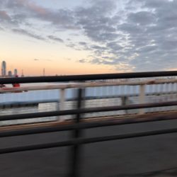 ウオウオー（╹◡╹）