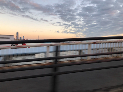 ウオウオー（╹◡╹）