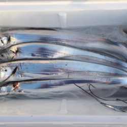 サイズアップしてます‼️