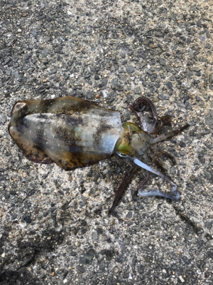 モーニングサービス