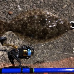 ヤエンでまさかの