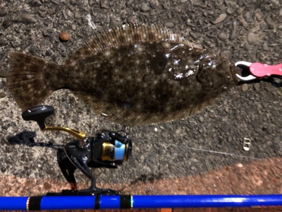 ヤエンでまさかの