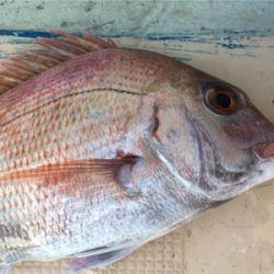 北〜南 ロングコース