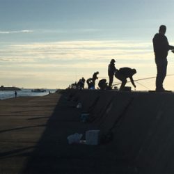 ショアジギ か〜ら〜の〜