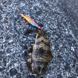 安定のちいささ