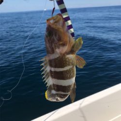 マイボート、ジギングティップラン釣行