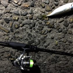 いつもの場所が渋い