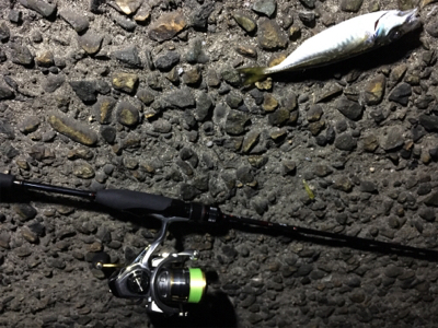 いつもの場所が渋い