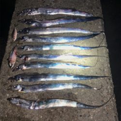 サイズアップを狙って!