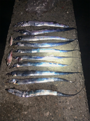 サイズアップを狙って！