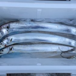 今朝はシブいです