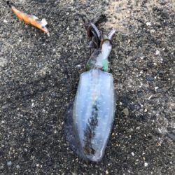 モーニングサービス