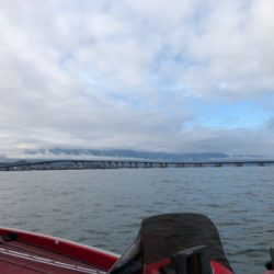 久々なバス釣り