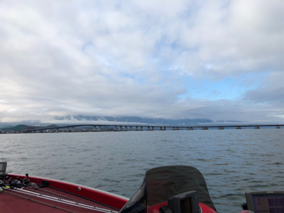 久々なバス釣り