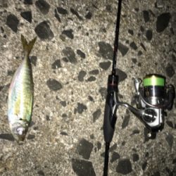 短時間アジング