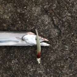 場所ムラ激しすぎ〜