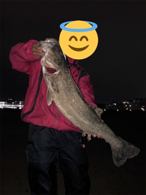 一発でサヨリパターン攻略