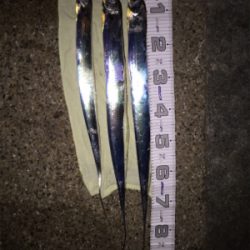 干潮までの短時間釣行