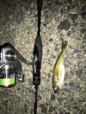 ナイトアジング