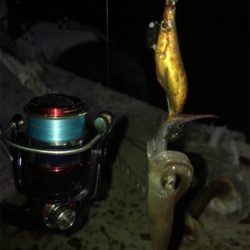 ヒイカ釣り(^.^)