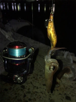 ヒイカ釣り(^.^)