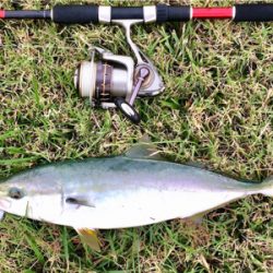 LSJigginger0610〜0730