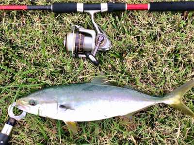 LSJigginger0610〜0730