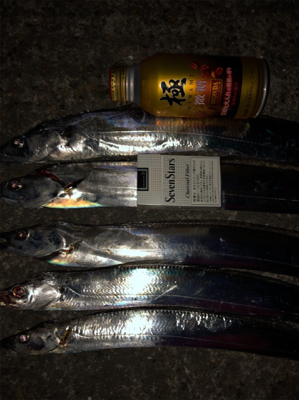 5日ぶりの舞洲釣行