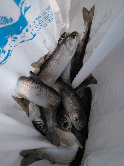 楽水フィッシングセンター