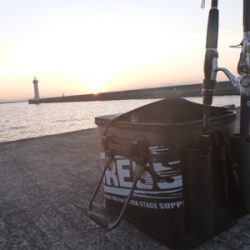 セットアッパー散る…