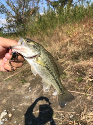 厳しいかった。。