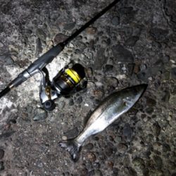 仕事終わりにライトゲーム