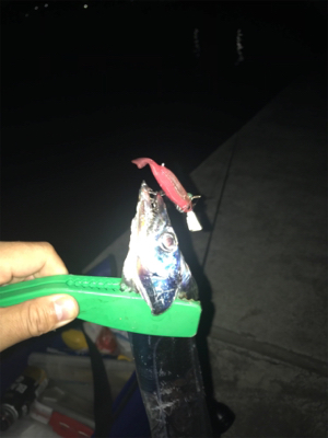 one Chance  サーベリング