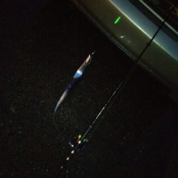 活性は高くない