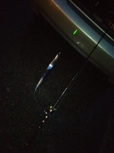 活性は高くない