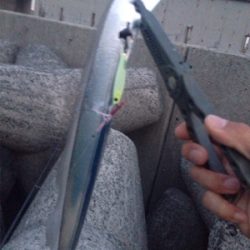 人工島さーべりんぐ