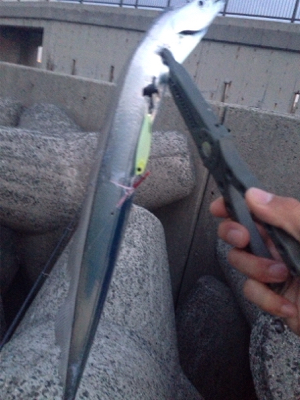 人工島さーべりんぐ