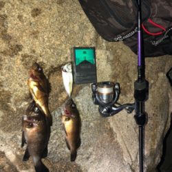 餌師が多かった