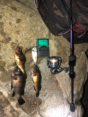 餌師が多かった