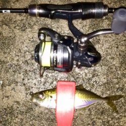 アジンガー1800〜1840