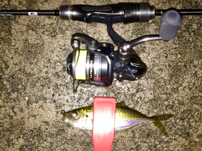 アジンガー1800〜1840