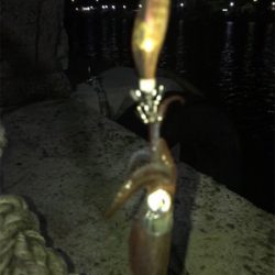 懲りずにヒイカ釣り(^。^)