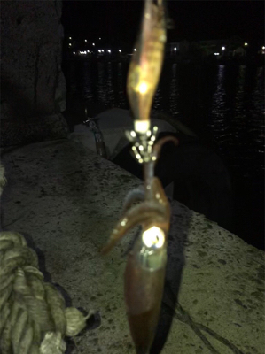 懲りずにヒイカ釣り(^。^)