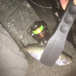 何とかかんとか