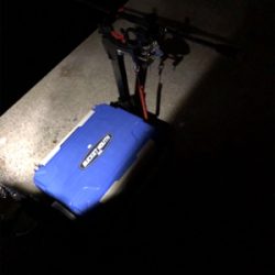 淀川にもタチウオきたきた。