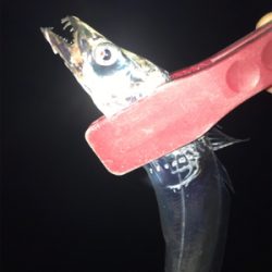 決めてなくダラダラ…