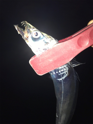 決めてなくダラダラ…