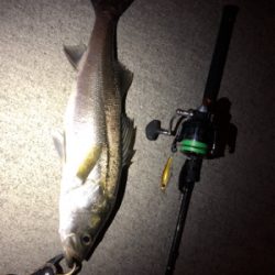 サッパパターン！